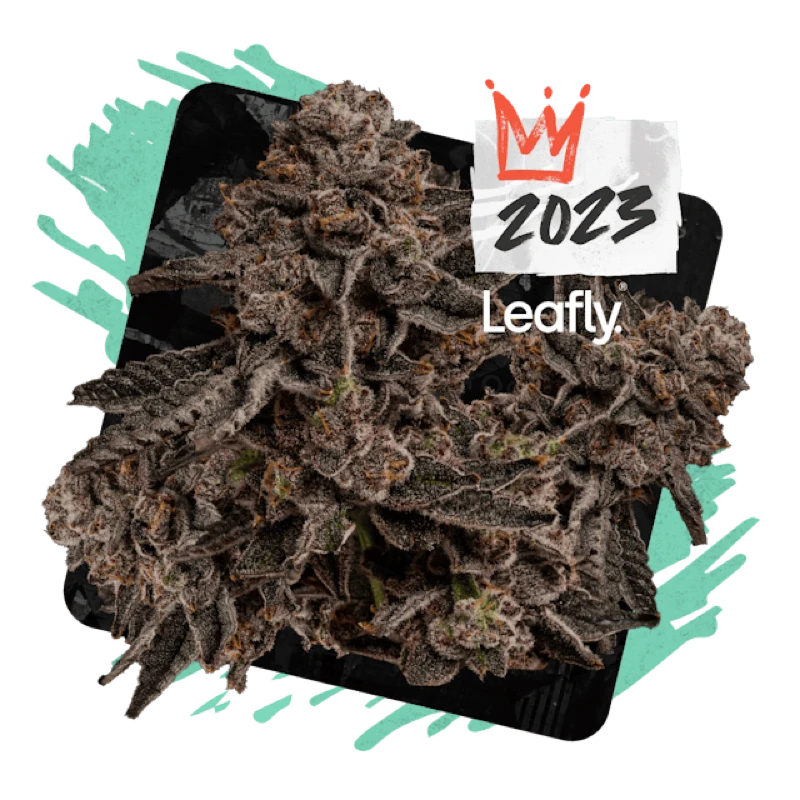 Free The Terps Designer Flower