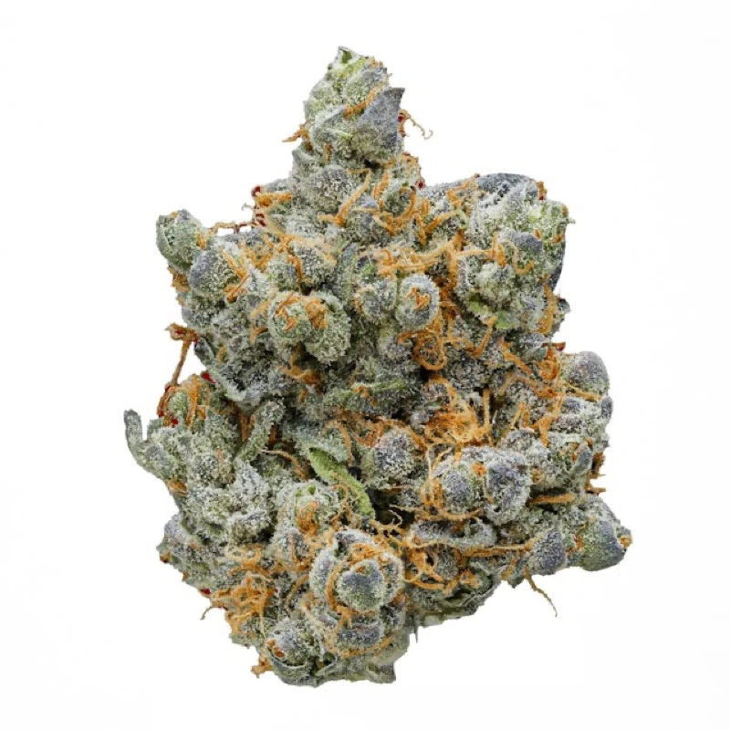 Shake — Individual Strains